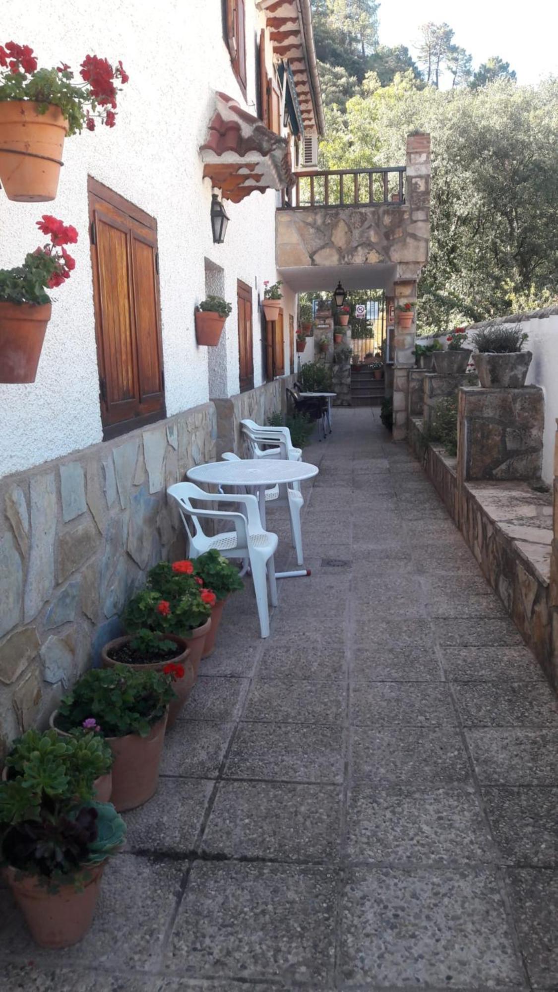 Sevilla Arroyo Frio